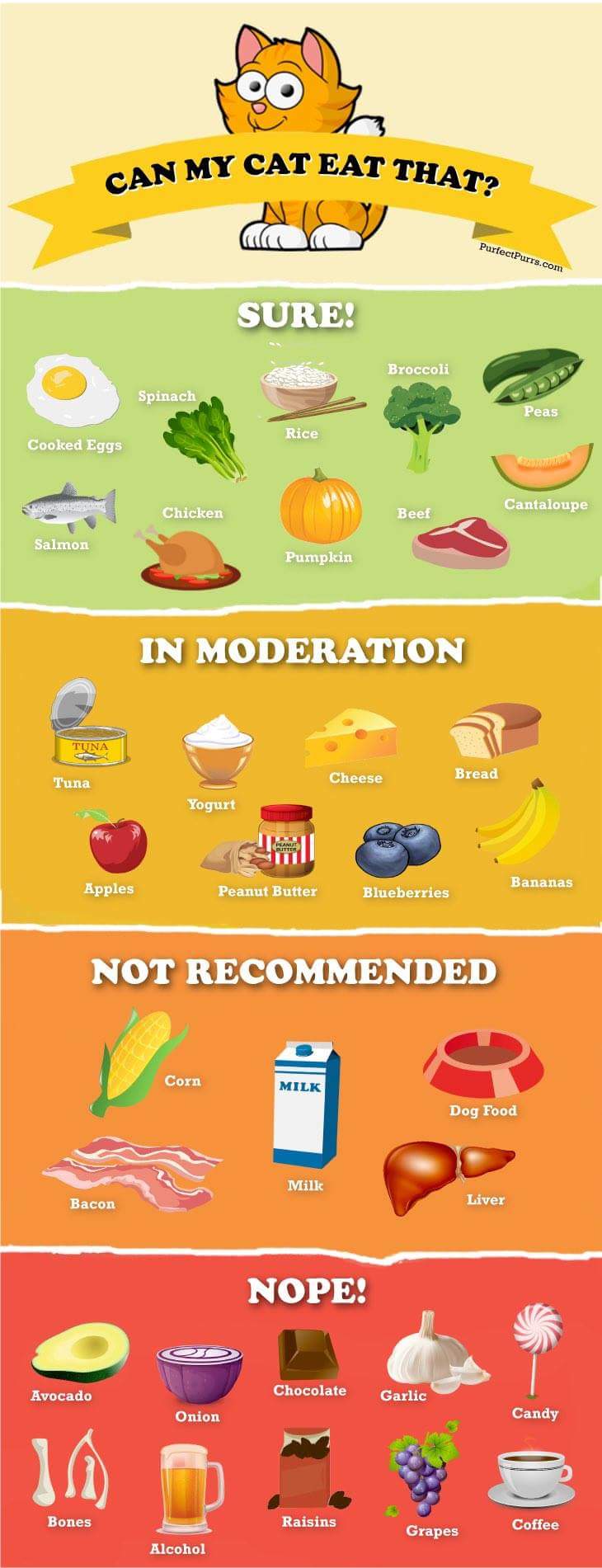 infographic about good and bad foods for cats